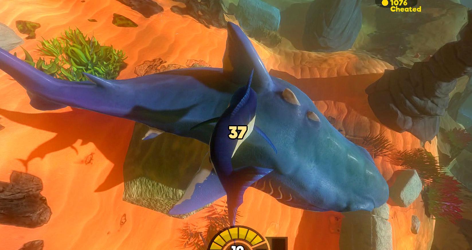 41.jpg