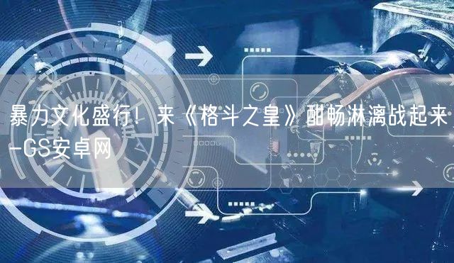 暴力文化盛行！来《格斗之皇》酣畅淋漓战起来-GS安卓网(图1)