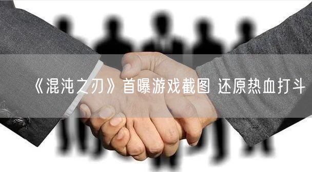 《混沌之刃》首曝游戏截图 还原热血打斗(图1)
