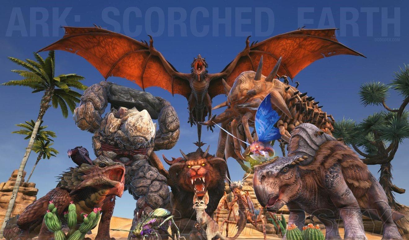 50.jpg
