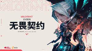 下载 (20).jpg