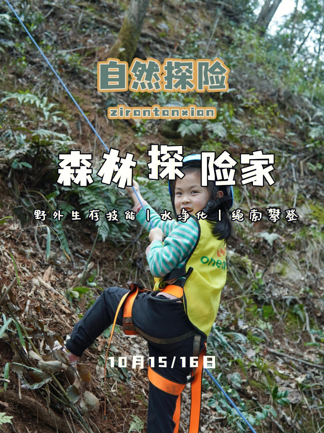 森林攻略图解_森林攻略游戏怎么玩_森林游戏攻略