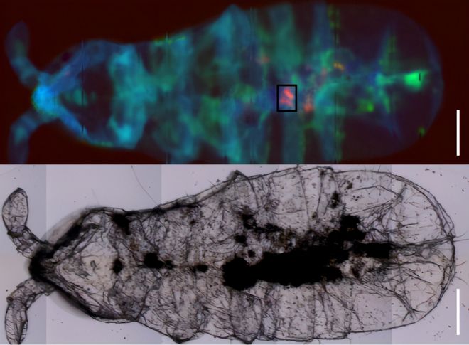 痕迹微信名_微信搜索痕迹如何删除_微痕迹