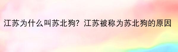 苏北狗市是星期狗嘛_苏北狗申花周亮_苏北狗