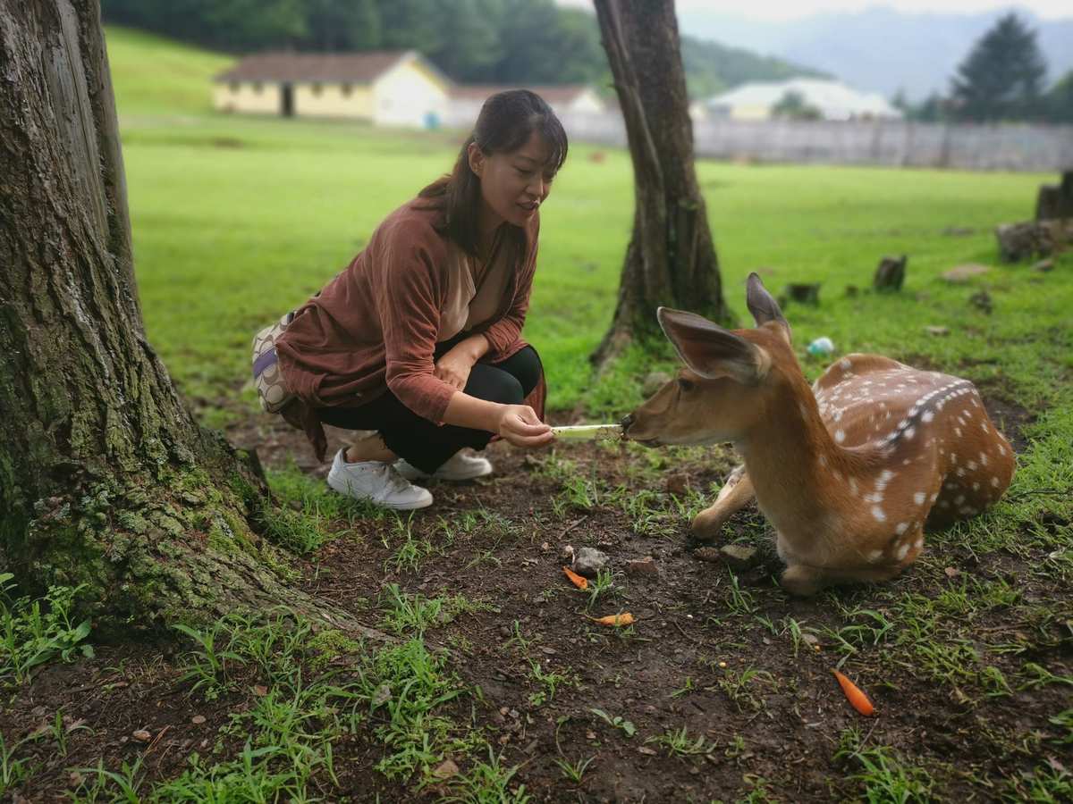 死亡岛生化危机_死亡岛_死亡岛激流