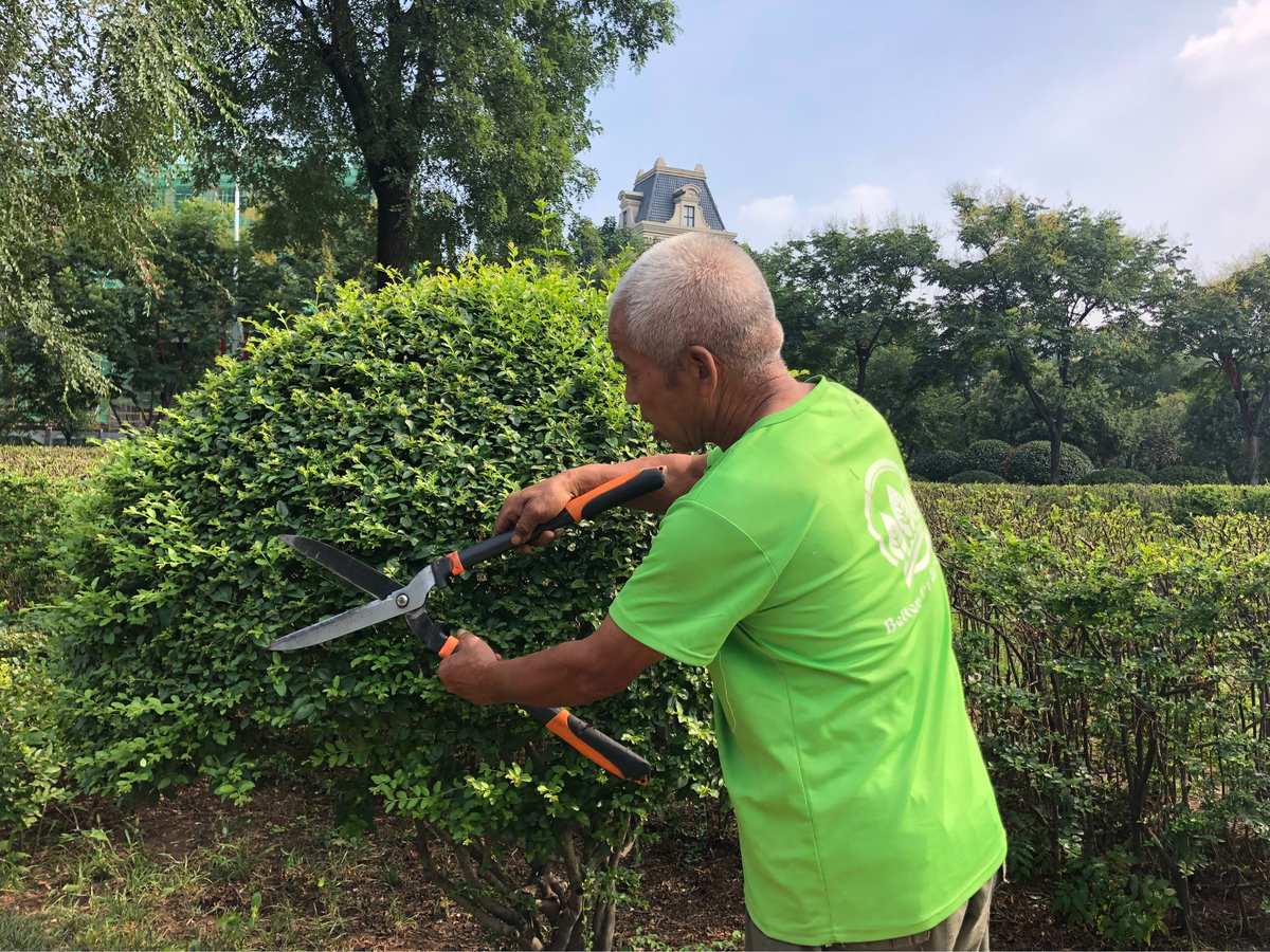 青青草偷拍视频_青青草偷拍视频_青青草偷拍视频