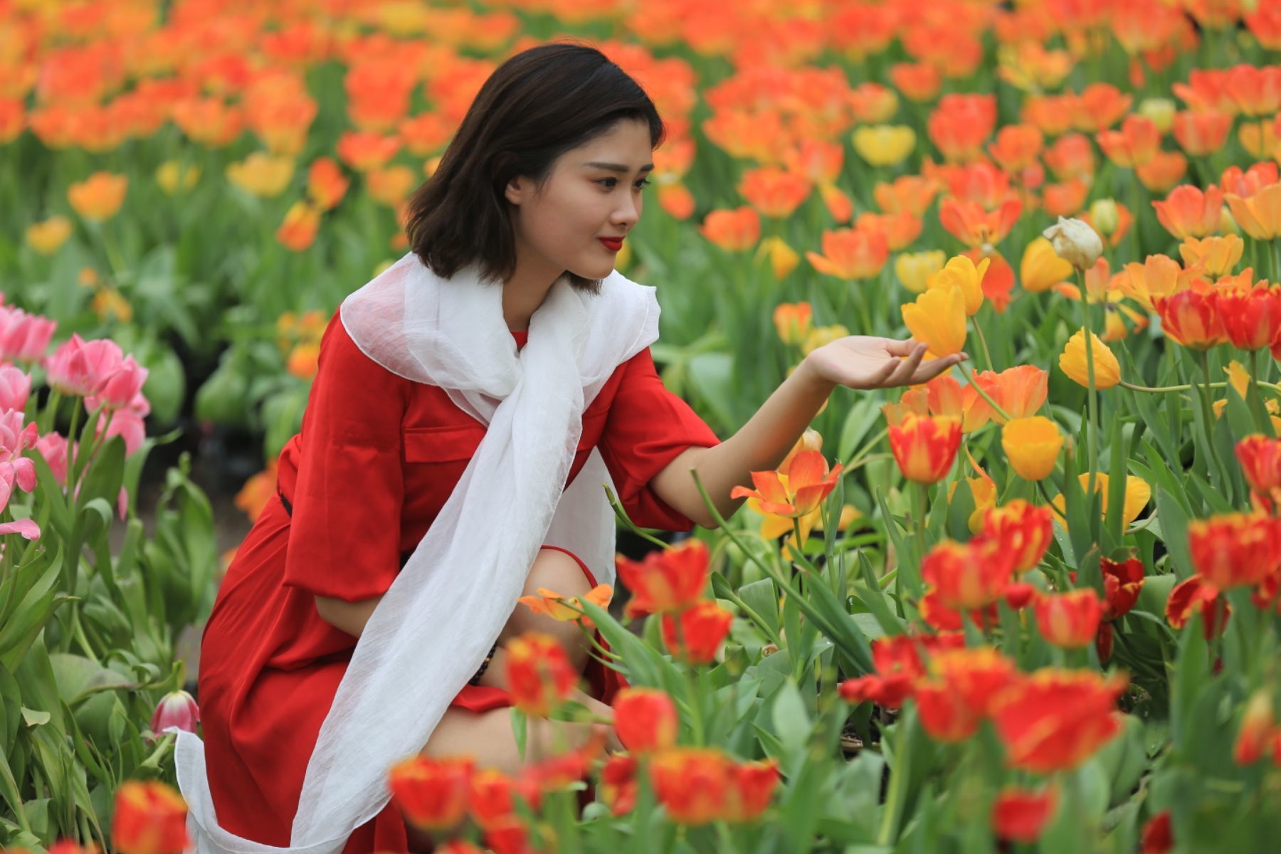 花间酒视频素材_花间视频_花间视频