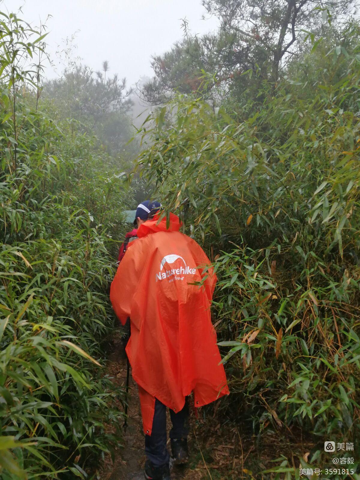 雨裁好不好_雨裁适合谁用_雨裁效果