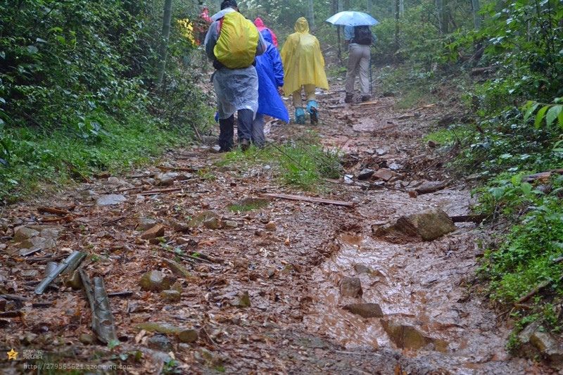 雨裁适合谁用_雨裁效果_雨裁好不好