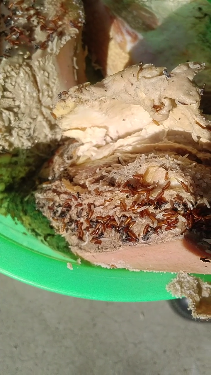 重咸口味二区_重咸口味二区_重咸口味二区