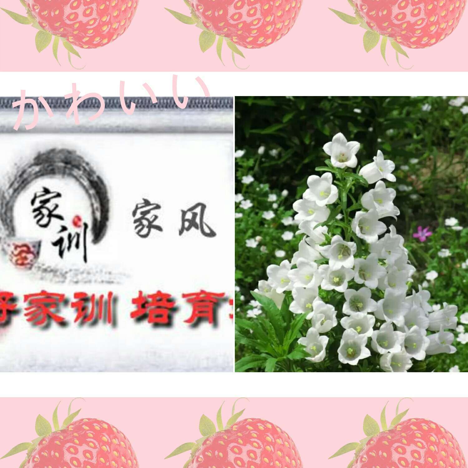 和家亲怎么加入家庭成员_家庭成员增加_申请加入家庭成员