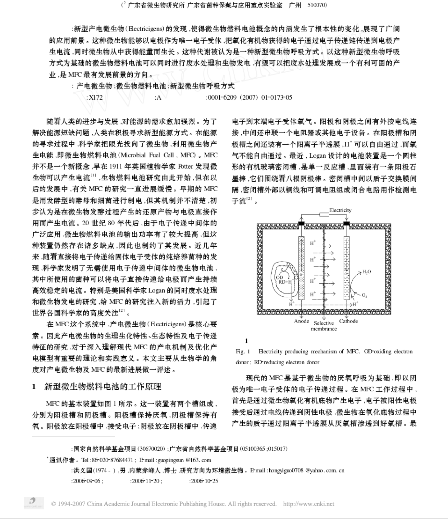 电电虫进化_电电虫怎么进化_电电虫进化图