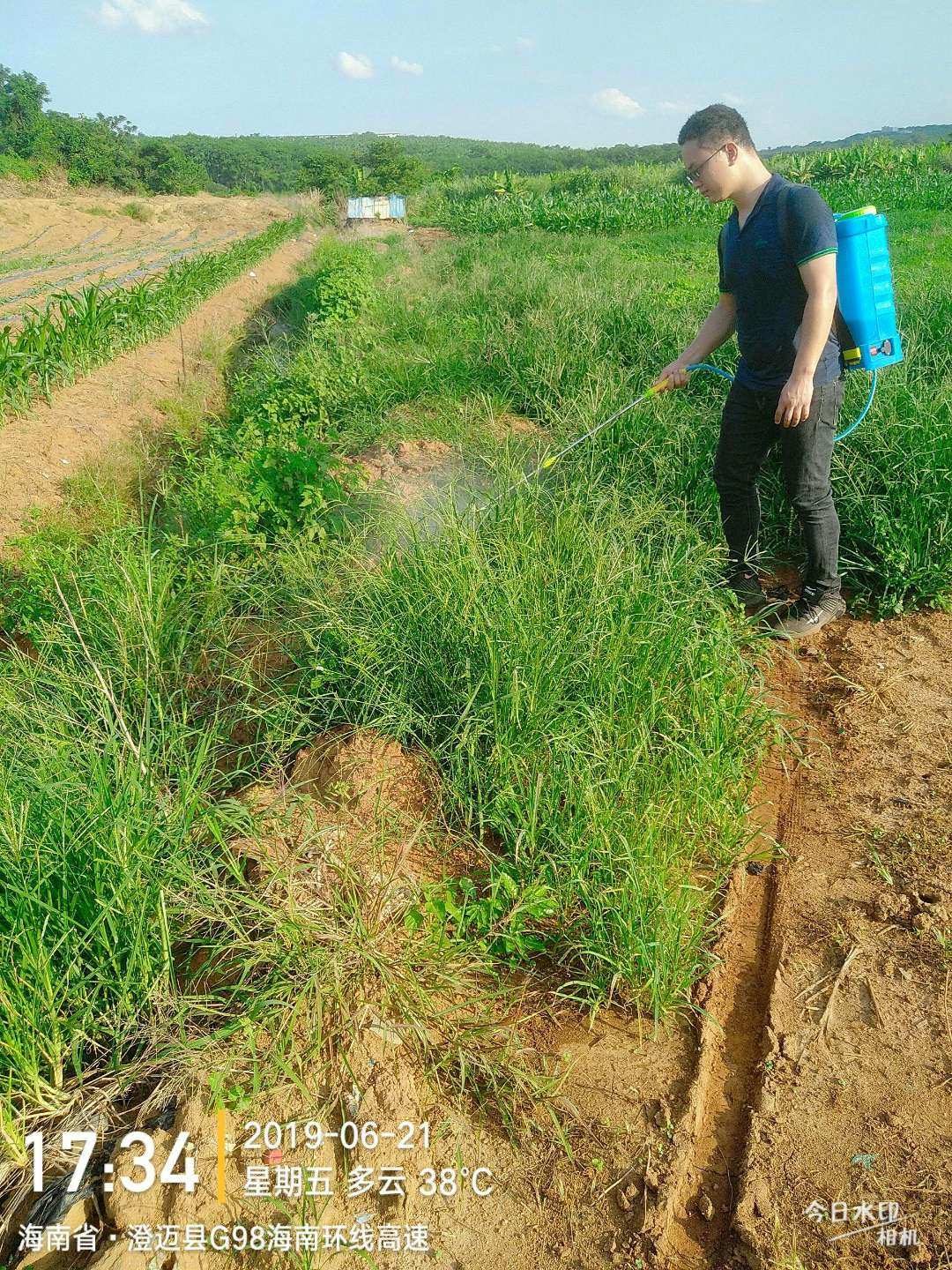 锄大地规则_锄大地_锄大地游戏