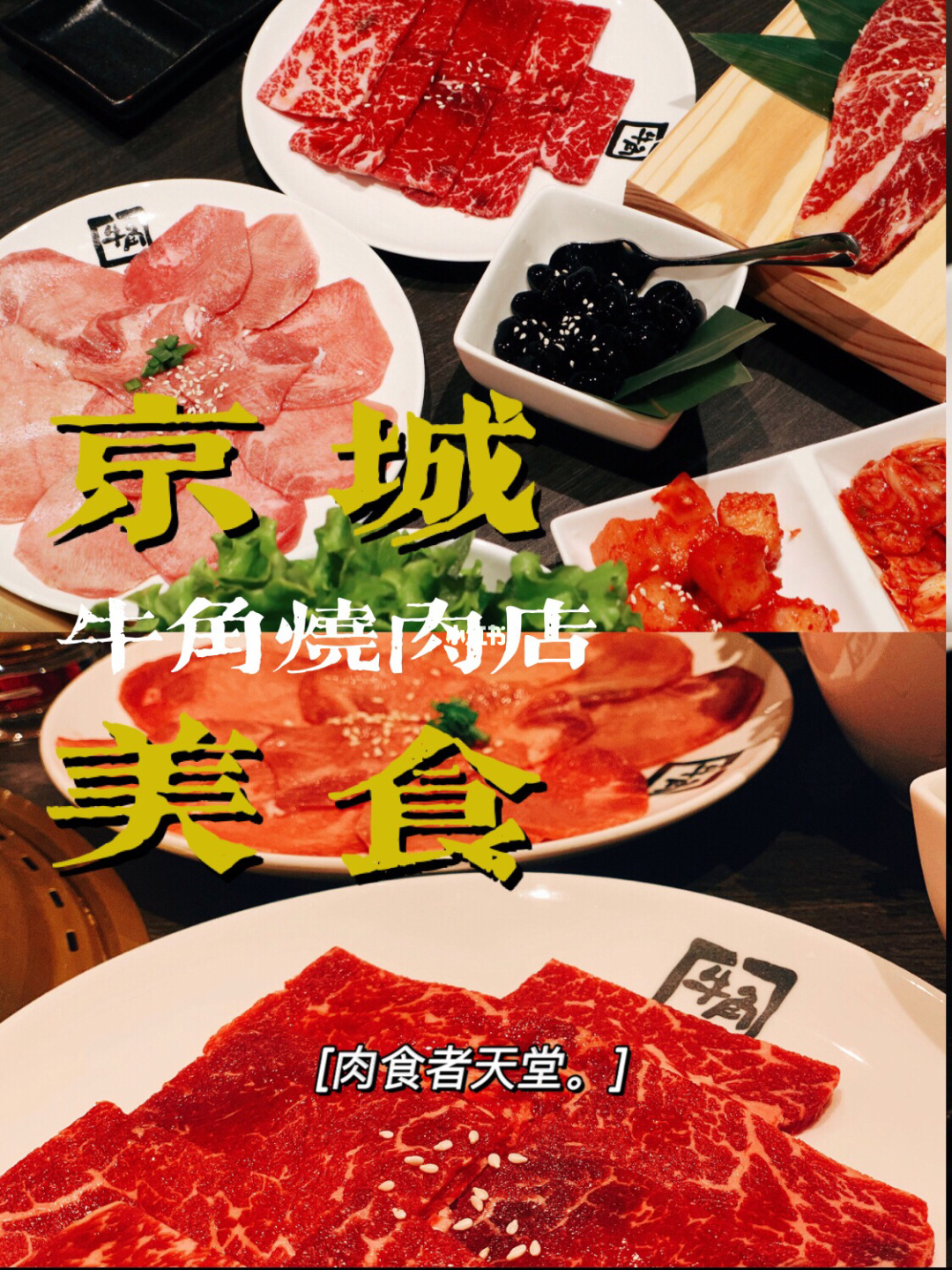 聚道城_聚道城_聚道城