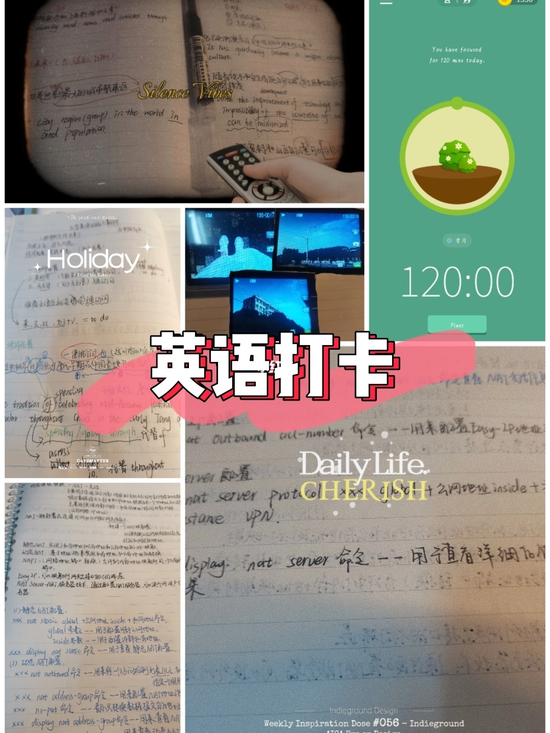 闻慧思慧修慧慧灯之光_宋美慧_慧学星