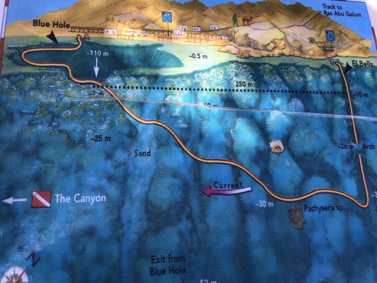 神奥地图_奥谁地图如何设置轨迹_奥地图鱼