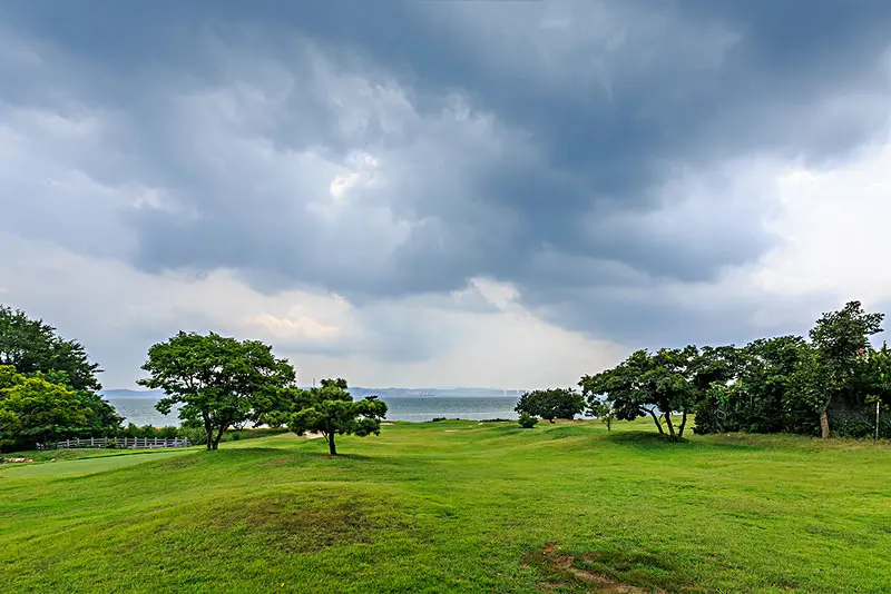 芳草萋萋鹦鹉洲晴川历历汉阳树_晴川历历汉阳树芳草萋萋鹦鹉洲_晴川历历汉阳树芳草萋萋鹦鹉洲