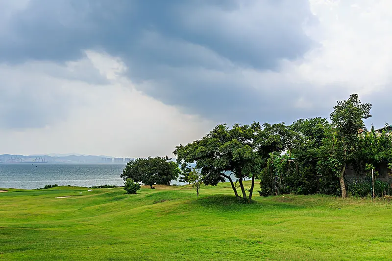 芳草萋萋鹦鹉洲晴川历历汉阳树_晴川历历汉阳树芳草萋萋鹦鹉洲_晴川历历汉阳树芳草萋萋鹦鹉洲