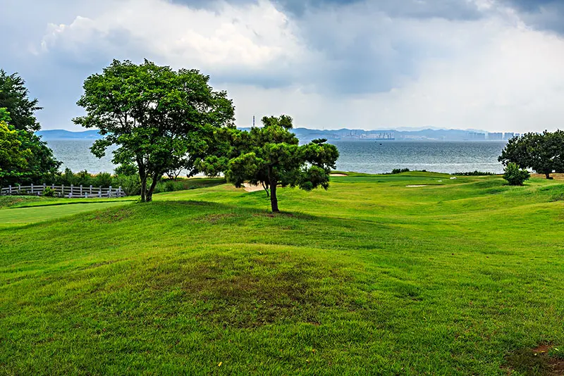 晴川历历汉阳树芳草萋萋鹦鹉洲_芳草萋萋鹦鹉洲晴川历历汉阳树_晴川历历汉阳树芳草萋萋鹦鹉洲