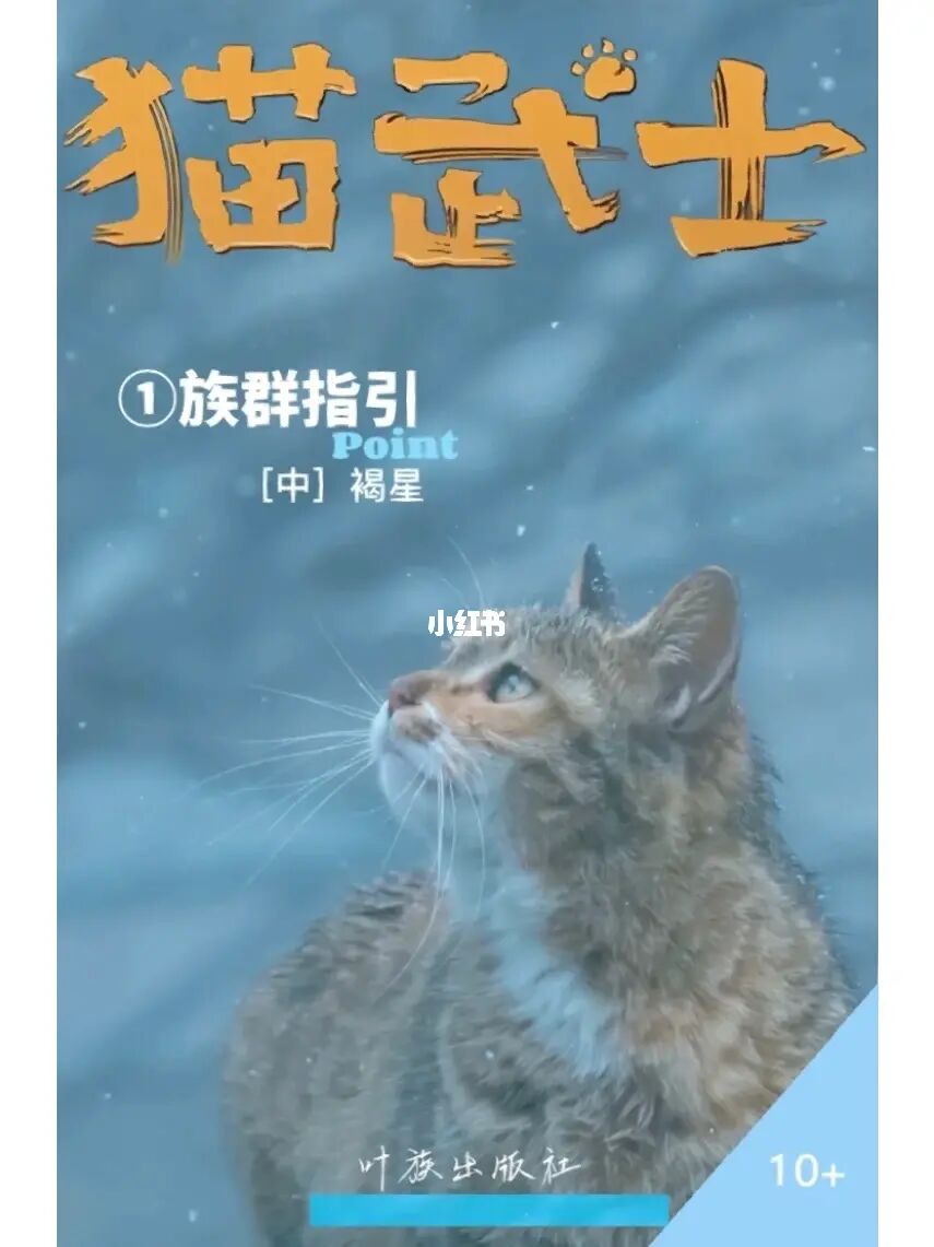 大本达蒙红袜队_红猫大本猫营_网络红猫红小胖