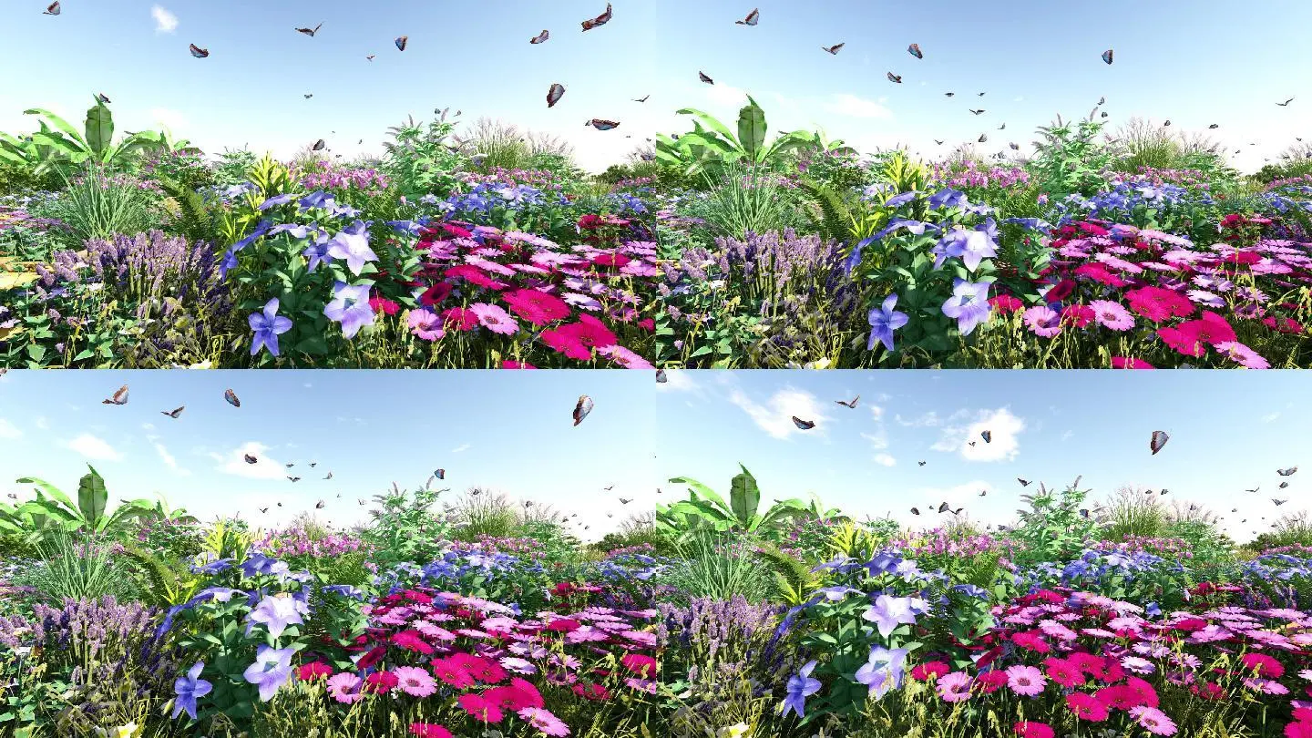 蝴蝶直播间_蝴蝶直播间_蝴蝶直播间
