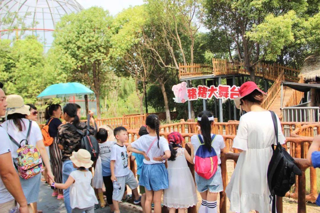 今日张家港app下载苹果_今日张家港app下载_今日张家港app