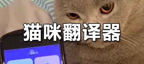 猫叫声翻译器真的有用吗_猫叫声翻译器_有没有翻译猫叫声的软件