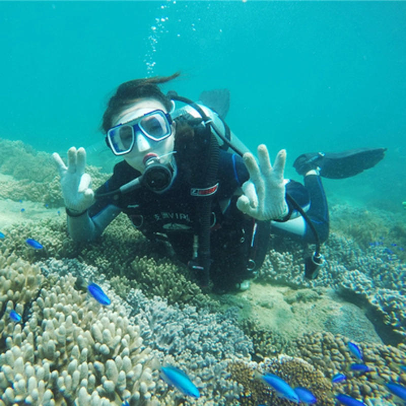 海底生存攻略视频_海底生存_海底生存