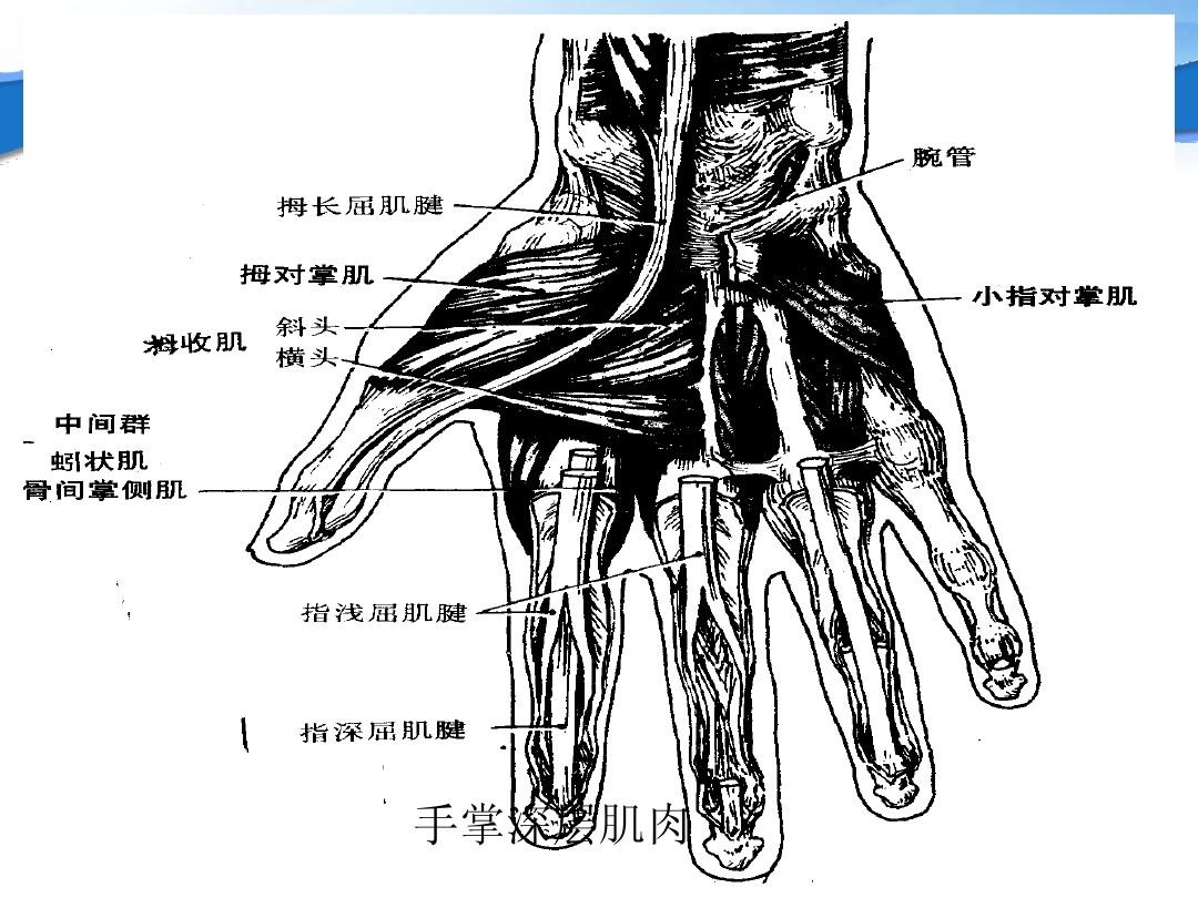 玩手机游戏手痛怎么办_玩手机打游戏手疼怎么缓解_手玩手机疼怎么办
