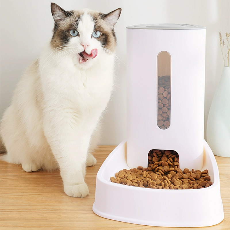 养猫小游戏手机_手机养猫咪的游戏_一个养猫的手机游戏