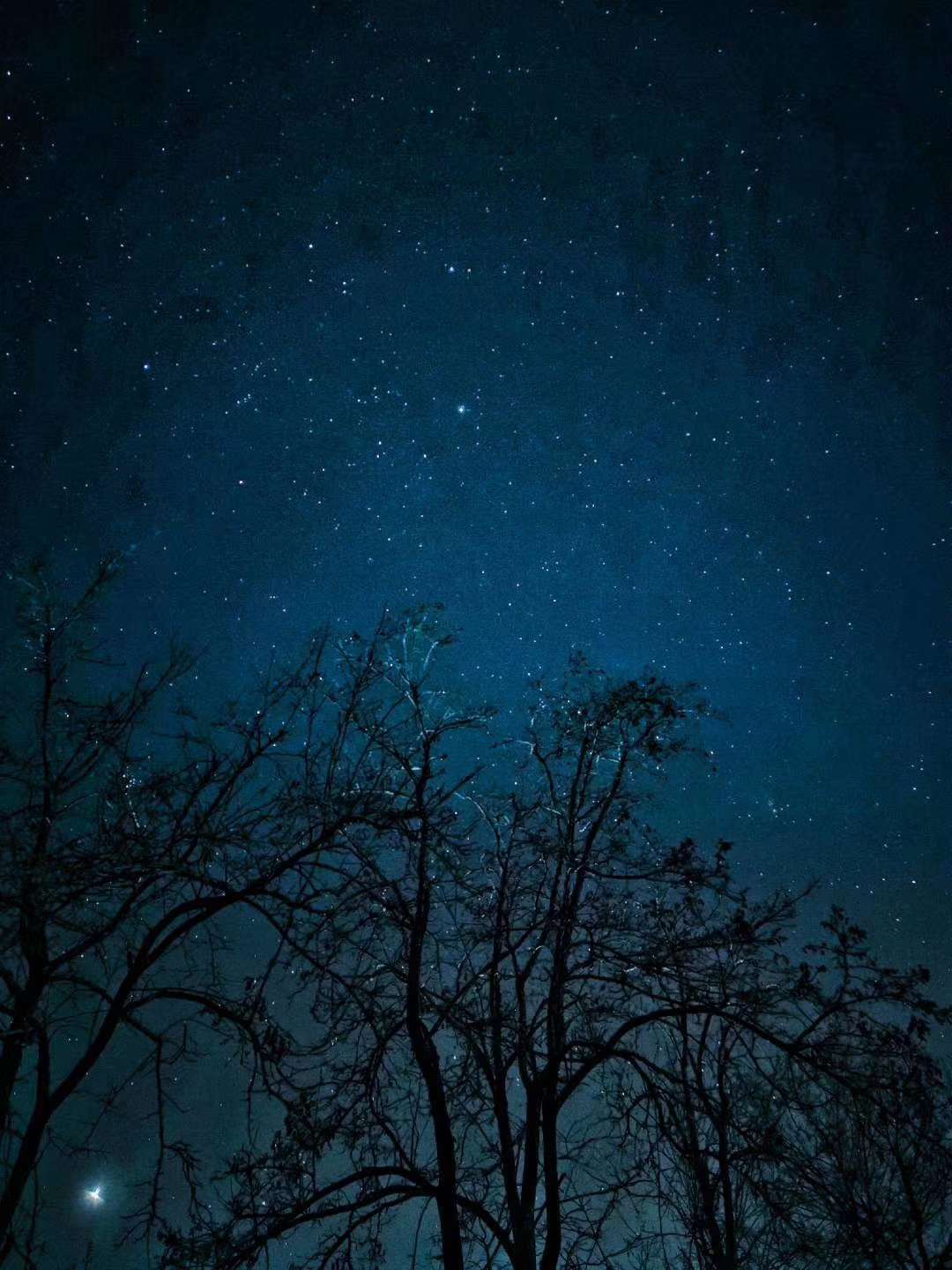 一个人睡觉玩手机游戏_睡觉玩个人手机游戏好吗_睡觉玩个人手机游戏可以吗