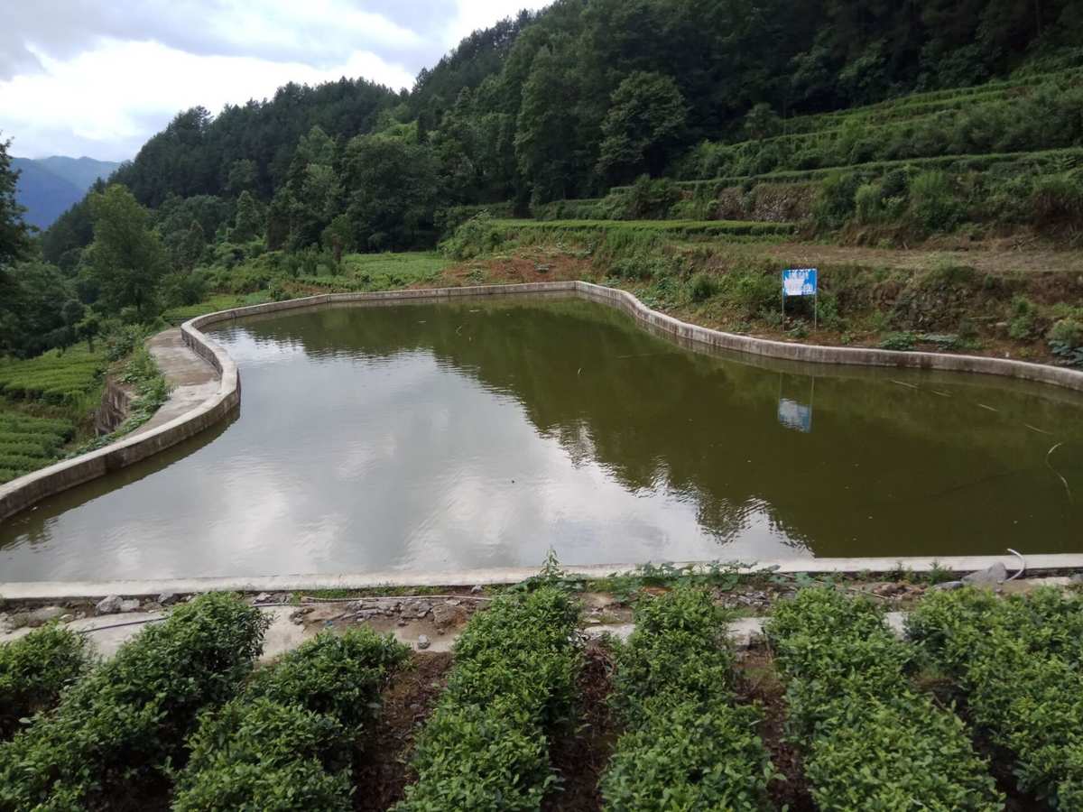休闲养鱼手机游戏有哪些_休闲养鱼手机游戏推荐_休闲养鱼手机游戏