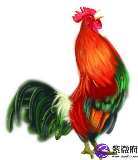生肖属年龄对照表_1981年属什么生肖_生肖属年龄