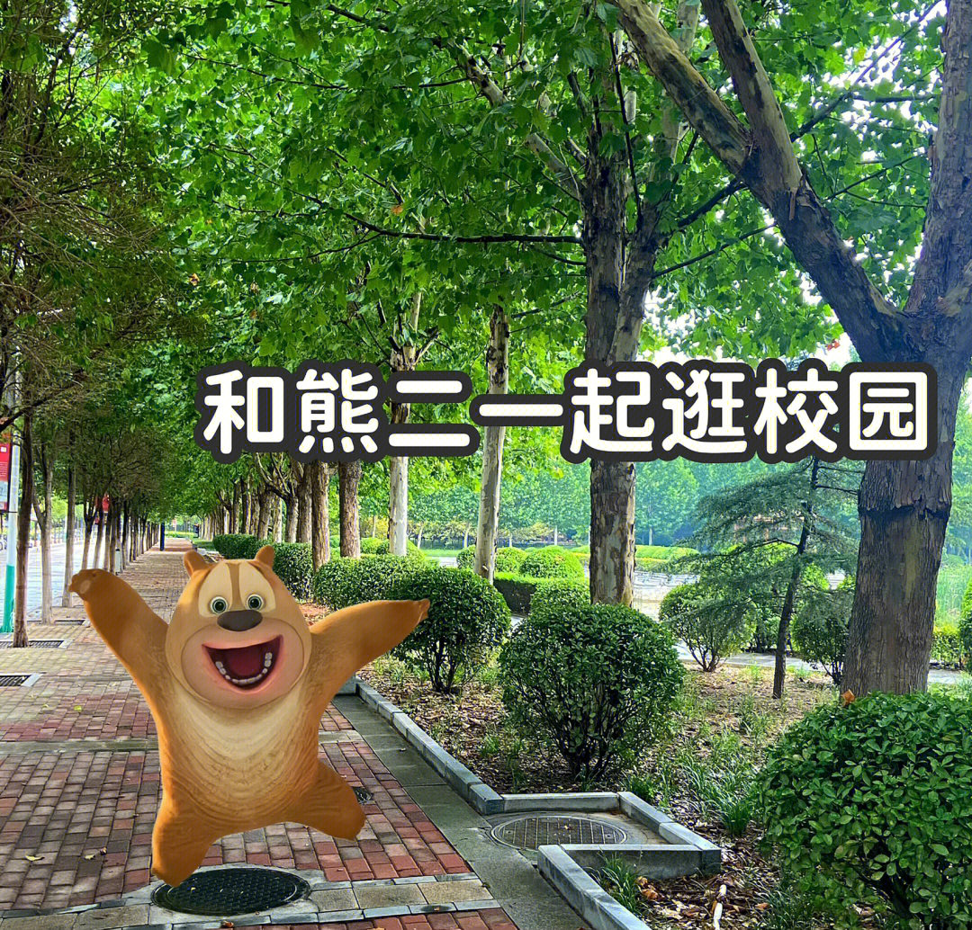 熊出没单机游戏手机版_熊出没手机游戏推荐苹果_苹果的熊出没