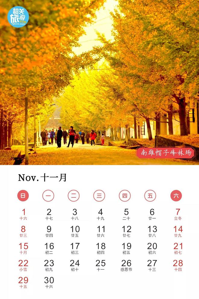 2011年日历表_日历表年历_日历表年历表