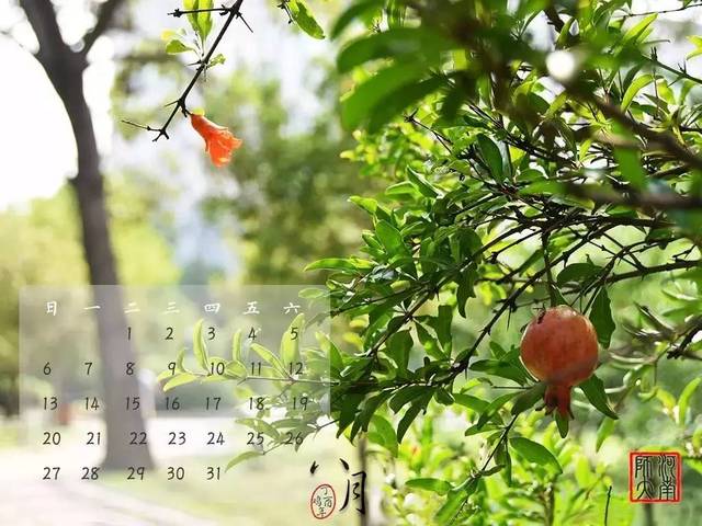 2011年日历表_日历表年历_日历表年历表