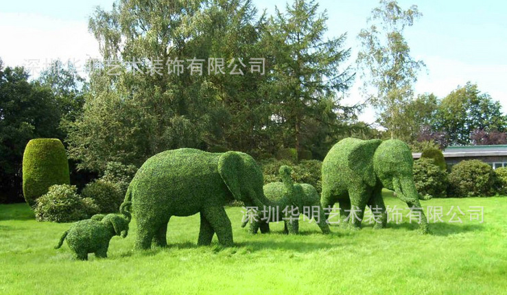 草加雅人健康的笑容_草加雅人第几集死的_草加雅人