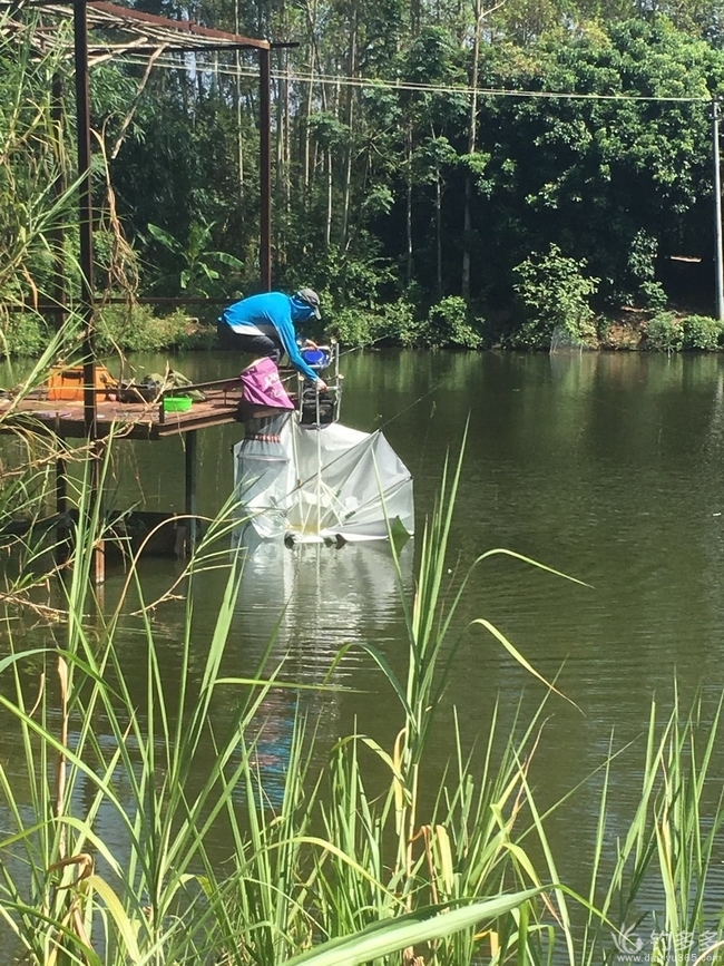 向往的生活5手机游戏大全_向往的生活5手机游戏大全_向往的生活5手机游戏大全