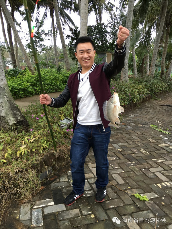 向往的生活5手机游戏大全_向往的生活5手机游戏大全_向往的生活5手机游戏大全