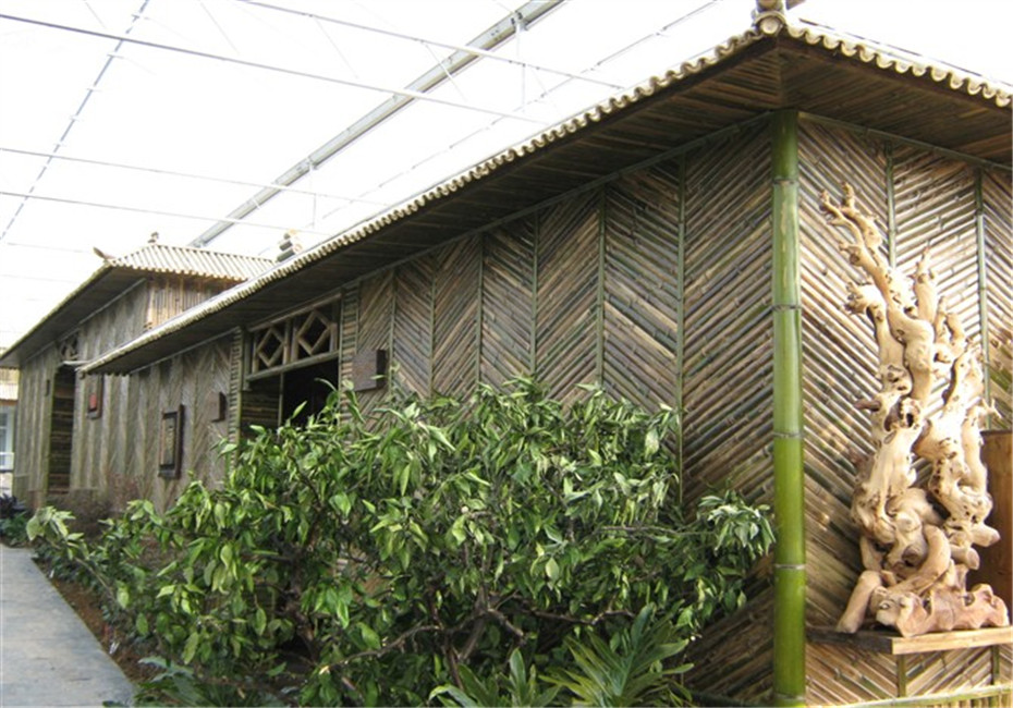 用竹子做房子的手机游戏_竹子房子手工制作方法_用竹子建造的房子视频