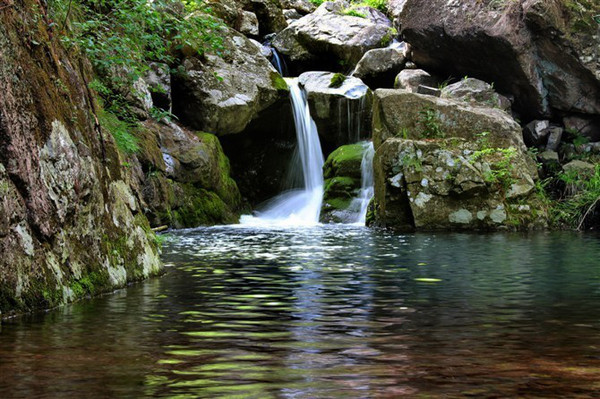 彼岸岛最后的47天_彼岸岛48天后_彼岸岛48天后61话