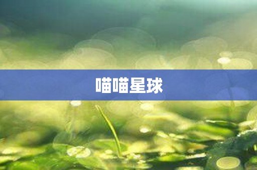 成立时间英文_成立时间最短的国家_成立时间