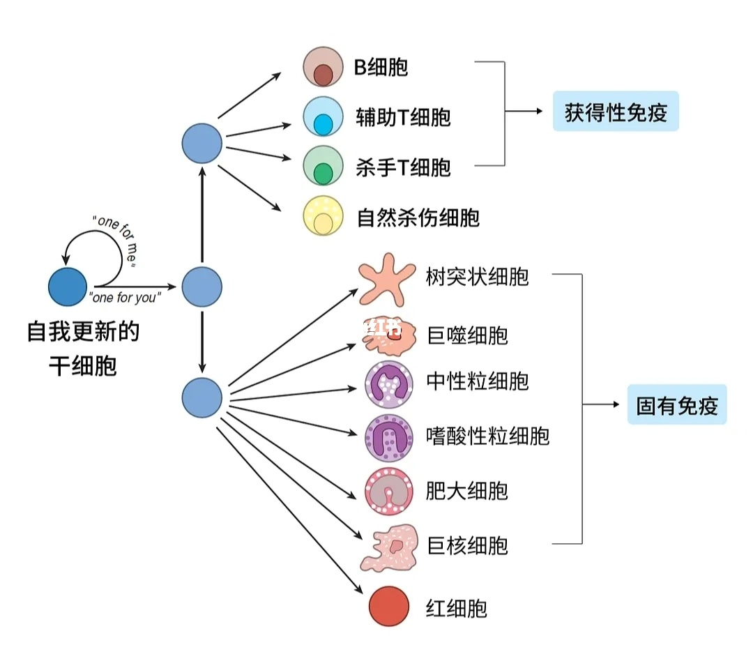 手机版捕鱼游戏平台下载_细胞分类3游戏下载手机版_游戏yy下载手机版