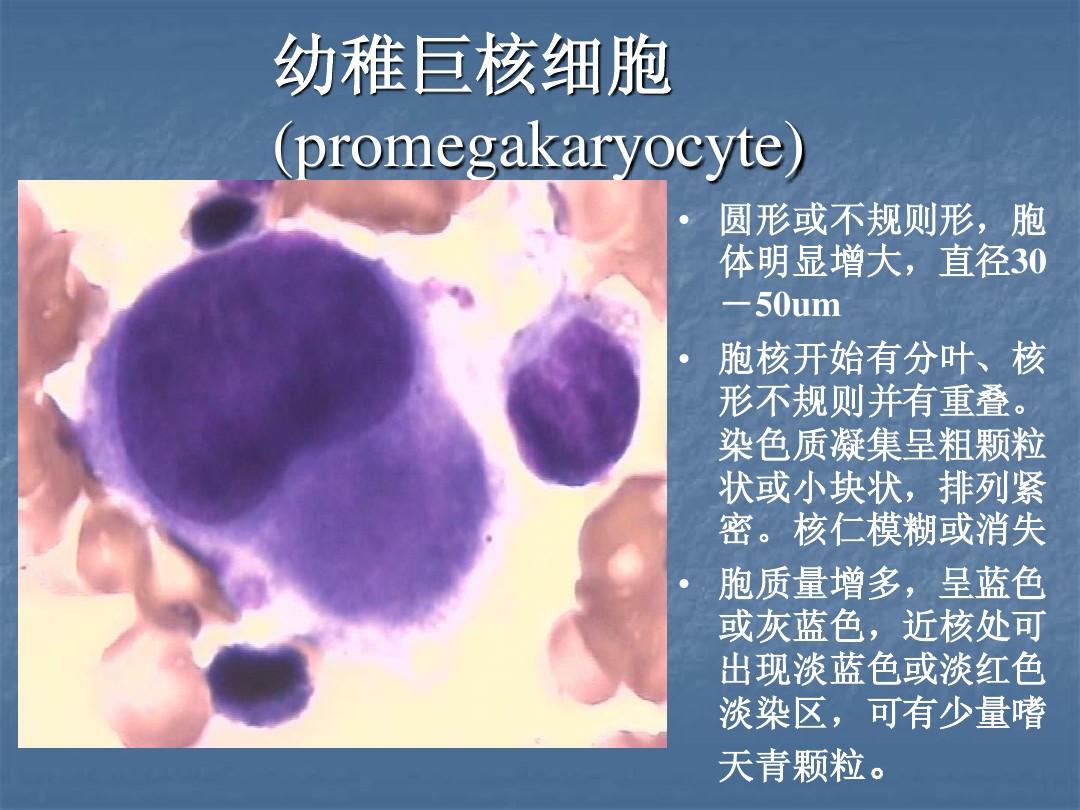 手机版捕鱼游戏平台下载_游戏yy下载手机版_细胞分类3游戏下载手机版