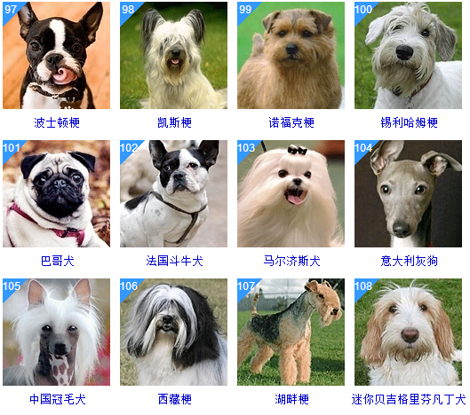 纳畜是什么意思黄历_纳畜什么日子好_纳畜