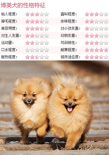 纳畜_纳畜是什么意思黄历_纳畜什么日子好