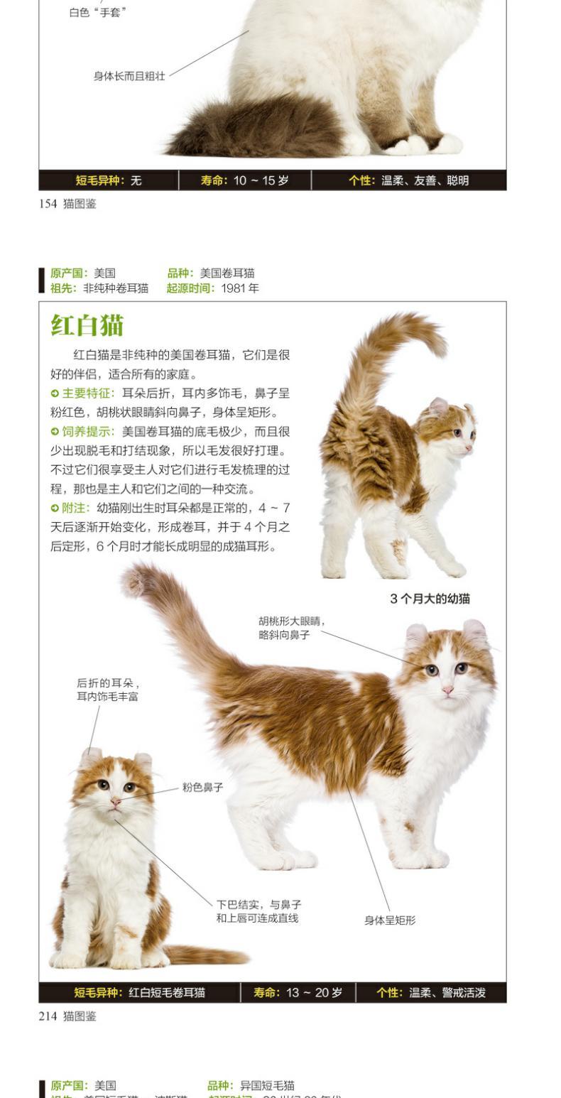 纳畜是什么意思黄历_纳畜_纳畜什么日子好