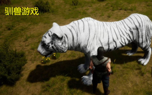 推荐几个手机vr游戏_随身游戏在异界猛兽大陆_驯猛兽手机游戏推荐下载