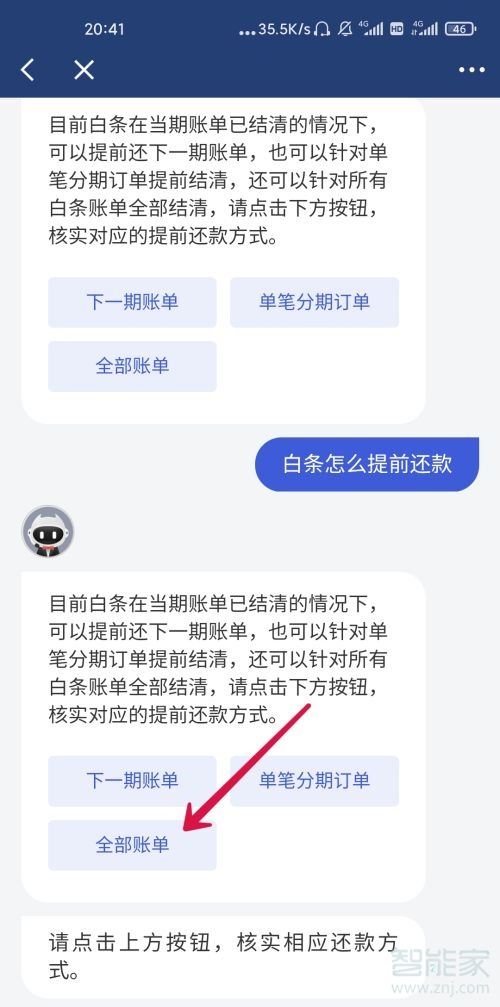 京东白条一次性还款怎么操作_京东白条还款模式_京东白条还款支付方式有几种