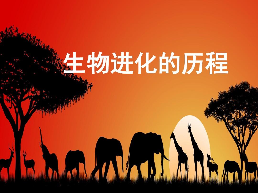游戏《进化》手机版_进化版手机游戏排行榜_进化游戏最新版